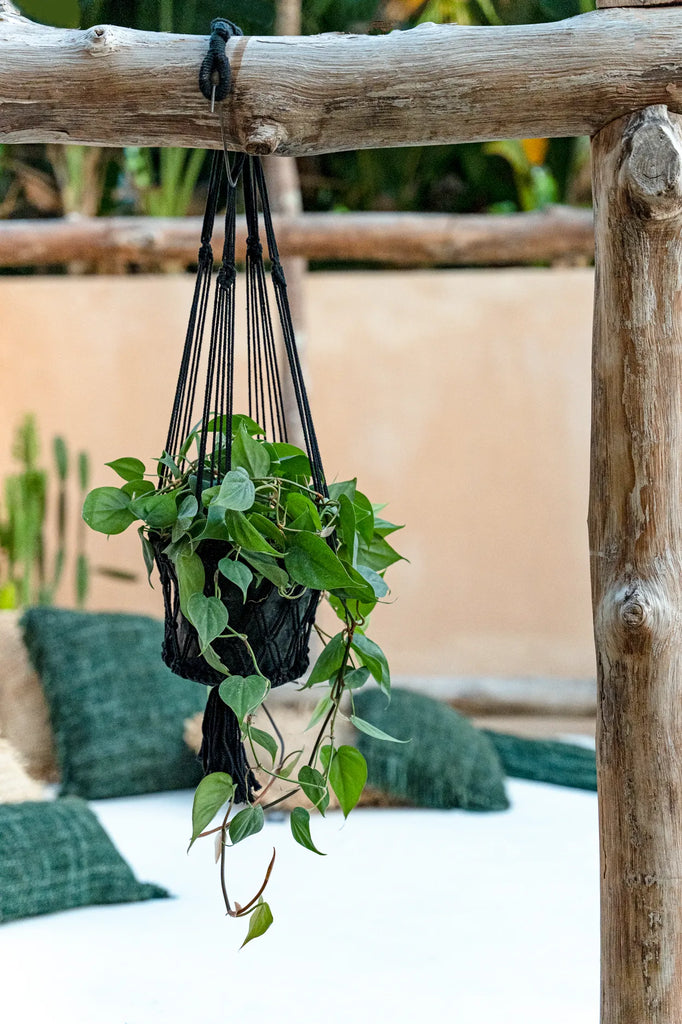 Cabide de plantas em macramé - Preto - S